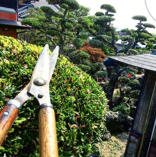 綠化工如何查詢真假