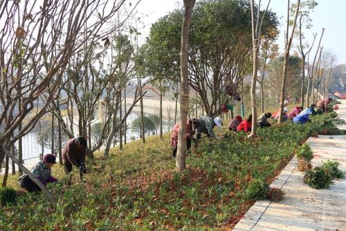 南京市現在綠化工證一定要持證上崗嗎具體考試流程有哪些