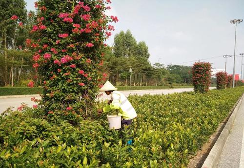 邳州市報名綠化工考試去哪考試在哪個機構通過高一點